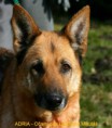 /album/fotogaleria-fenky/a1925289-534041276710595-671542728-n-jpg/