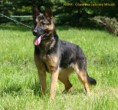 /album/fotogaleria-fenky/img-6474um-jpg/