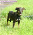 /album/fotogaleria-fenky/img-6416um-jpg/
