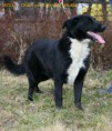 /album/fotogaleria-fenky/img-7361um-jpg/