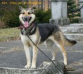 /album/fotogaleria-fenky/img-7796um-jpg/